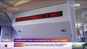 Condamné pour avoir harcelé sa voisine de train 