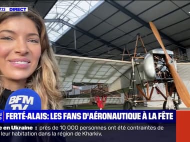 Des avions de collection exposés lors de la fête de l'aéronautique à La Ferté-Alais, en Essonne