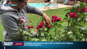 Quiétude, nature et air pur: le succès de l'Ariège pour les vacances d'été