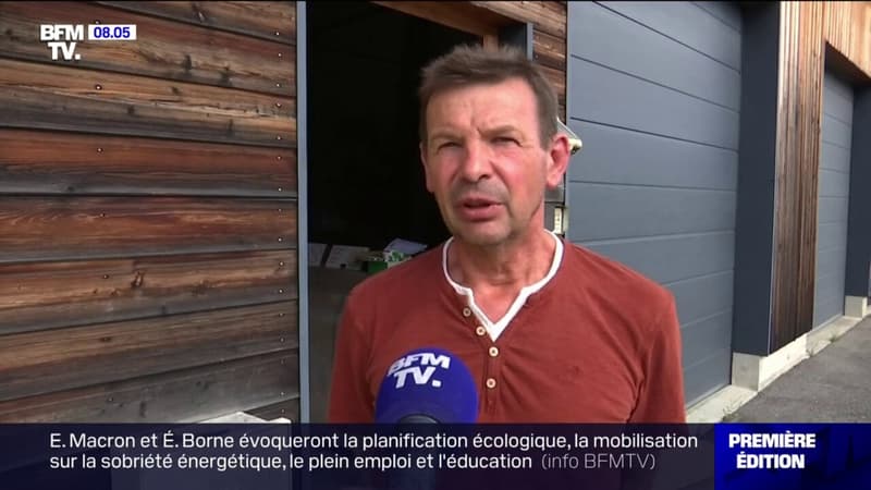 Cyclistes attaqués par des frelons dans la Loire: 