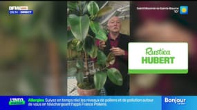 Jardinage, Titanic et Jeux vidéo...- La météo de Colas du mardi 18 novembre 2025