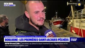 Boulogne-sur-Mer: les premières coquilles Saint-Jacques pêchées 