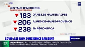 Les taux d'incidence dans les Alpes du Sud