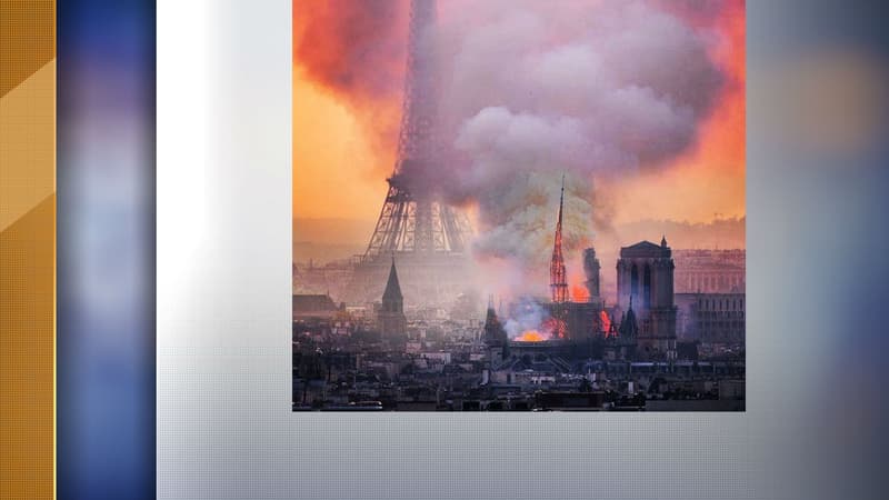 Cette photo a été partagée à de nombreuses reprises sur les réseaux sociaux, et son auteur soit félicité, soit accusé d'avoir truqué le cliché.