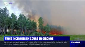 Incendie à La Teste-de-Buch: "Le feu progresse toujours" et a parcouru "35 hectares", selon le sous-préfet d'arrondissement d'Arcachon