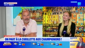 Bonjour la Normandie du lundi 8 septembre 2025