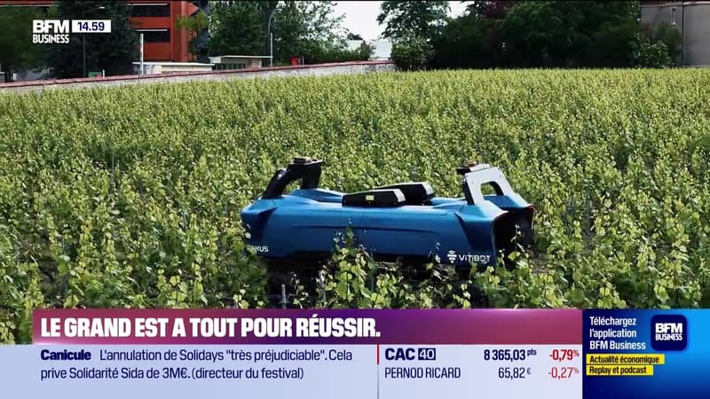 Le Grand Est a tout pour réussir : VitiBot - 26/06
