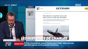 «Les histoires de Charles Magnien » : Un pêcheur avalé puis recraché par une baleine - 14/06