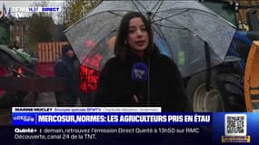 Le mouvement des agriculteurs peut-il se durcir? BFMTV répond à vos questions