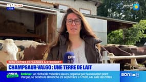 Champsaur: une terre de lait et de fromage en fête lors des rencontres paysannes
