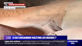 LA VÉRIF' - Les Russes volent-ils du blé et d'autres céréales en Ukraine ?