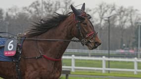 Délia du Pommereux remporte le Qualif 5 au Prix d'Amérique
