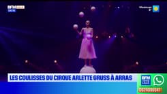 Les Ch'tites Sorties du samedi 29 mars 2025 - Les coulisses du cirque Arlette Gruss à Arras