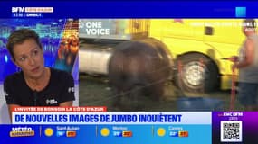De nouvelles images de l'hippopotame Jumbo inquiètent l'association One Voice