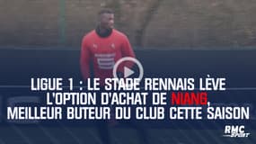 Ligue 1 : Le Stade Rennais lève l'option d'achat de Mbaye Niang, meilleur buteur du club cette saison