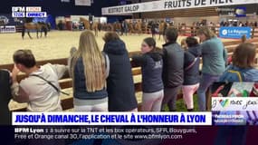 Jusqu'à dimanche, le cheval à l'honneur à Lyon