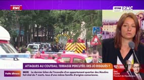 Mobilisation méga-bassines : "Une partie des personnes rassemblées est experte dans la désobéissance civile et vient pour casser", prévient Camille Chaize