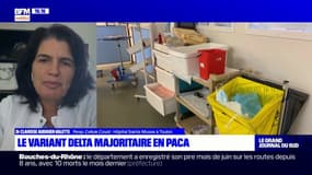Expansion du variant Delta: "Une 4ème vague est inévitable au moins sur le nombre de cas", selon la responsable de la cellule Covid à l'hôpital Sainte Musse à Toulon
