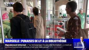 À Marseille, une bibliothèque envahie par des punaises de lit