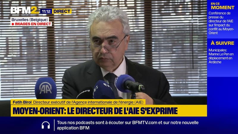 Sécurité énergétique en Europe: "Les énergies renouvelables et l'énergie nucléaire devraient être les piliers du système électrique européen", déclare l'Agence internationale de l'énergie