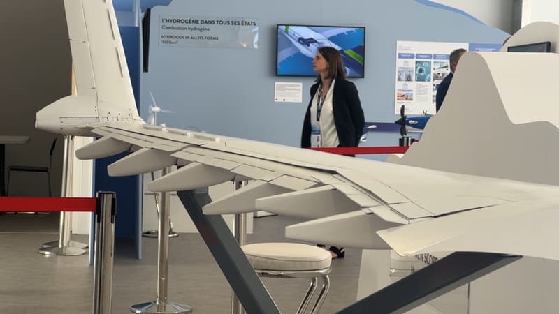 Avion du futur: Airbus imagine une aile pliable inspirée par l'albatros