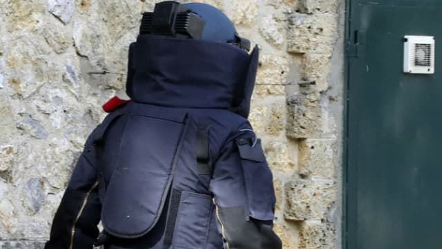 Démonstration d'un démineur à Marly-le-Roi, dans les Yvelines, le 9 juin 2016
