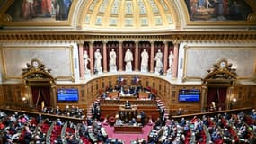 Le président du Sénat Gérard Larcher (à droite) s'exprime devant les sénateurs à Paris, le 15 janvier 2025
