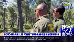 Bouc-Bel-Air: les forestiers-sapeurs mobilisés pour protéger les espaces naturels