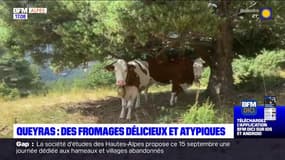 Queyras: des fromages délicieux et atypiques