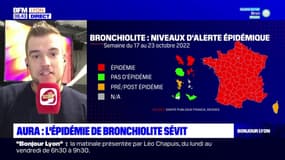 Auvergne-Rhône-Alpes: l'épidémie de bronchiolite sévit dans la région