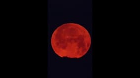 Pourquoi la lune des fraises, qui a illuminé nos nuits ce week-end, porte-t-elle ce nom?