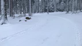 La station du Champ du Feu dans le massif des Vosges le 18 janvier 2023.