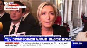 Loi immigration: "Nous allons donc voter ce texte tel qu'il ressort de la commission mixte paritaire", affirme Marine Le Pen