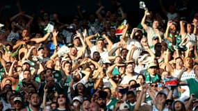 Des supporters de Palmeiras en avril 2023, illustration