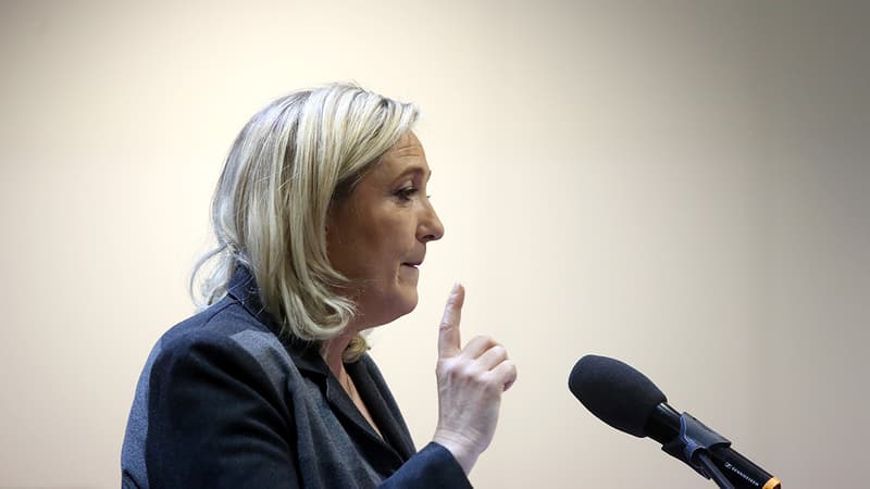 Marine Le Pen le 1er février 2014 à Bordeaux.