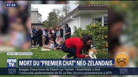 Mort du "Premier chat" néo-zélandais