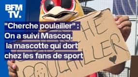  "Cherche poulailler": on a suivi Mascoq, la mascotte qui dort chez les fans de sport