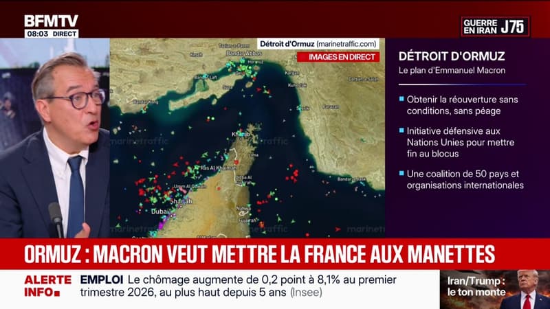 Mission de sécurisation du détroit d'Ormuz: 