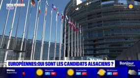 Européennes: qui sont les candidats alsaciens en lice?