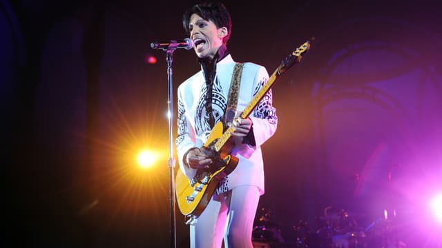 Prince en concert au Grand Palais à Paris en 2009 -