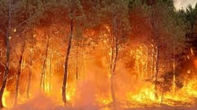 Les images de la reprise de feu à Landiras. 