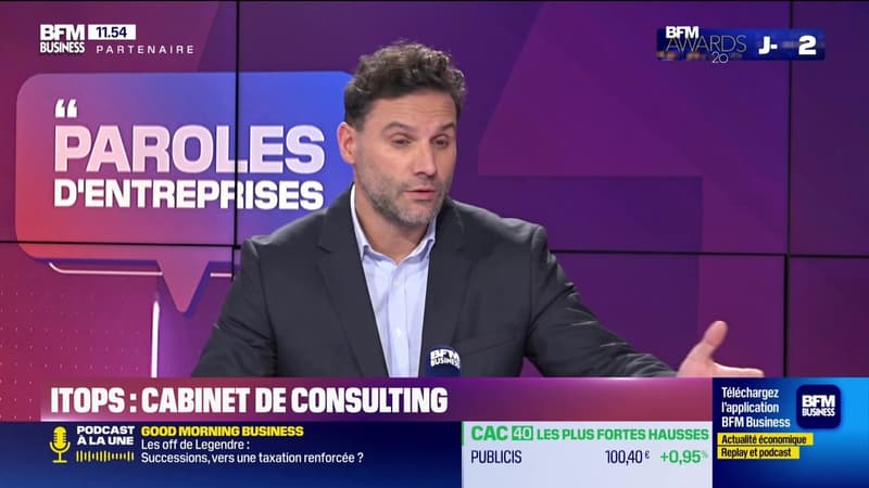 Eric Fernandes (Itops): Itops, cabinet de consulting - 11/01