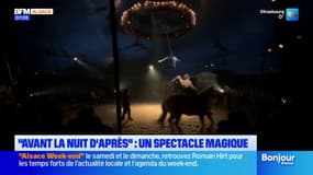 Mulhouse: la compagnie équestre EquiNote propose son dernier spectacle