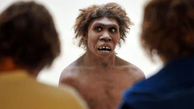 Photo prise le 2 juillet 2008 à Eyzies-de-Tayac, en Dordogne, d'un mannequin représentant un homme de Néandertal  