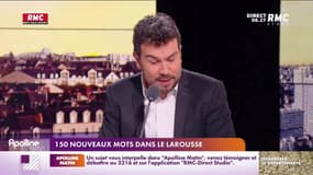 Les histoires de Pierrick Bonneau : 150 nouveaux mots dans le Larousse et un chiot dévore 2 000 euros cash en Belgique - 10/05