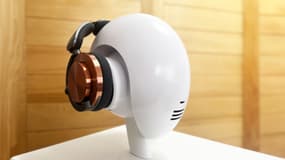 Dyson Ontrac