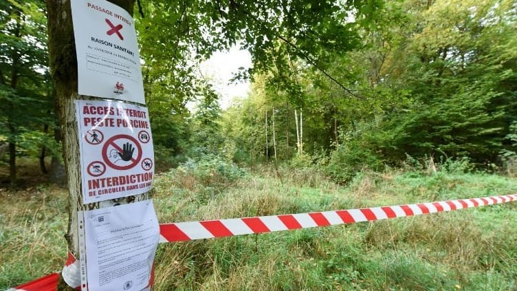 Une zone de quarantaine en Belgique.