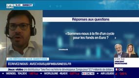 Les questions : Sommes-nous à la fin d'un cycle pour les fonds en Euro ? - 10/01