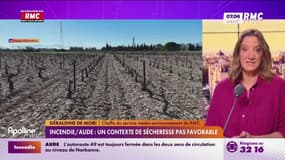 Incendie dans l'Aude: après un mois de juin très sec, chaleur et vent forment un cocktail explosif