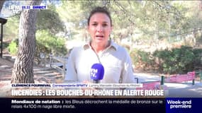 Un risque "très élevé": les Bouches-du-Rhône en vigilance rouge aux feux de forêt ce dimanche